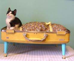 PET BED EXAMPLE 1