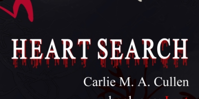 Heart Search: Lost – Cover Revealing!!!!!